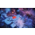 Switch Darksiders Genesis - 502998 - zdjęcie 7